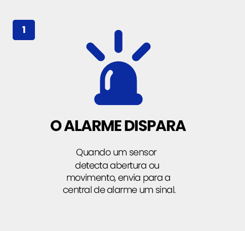Sistema 1